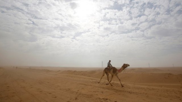 <p>
	<em>Снимка: Архив Ройтерс</em></p>
