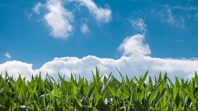 <p>
	<em>Снимка: Pixabay</em></p>
