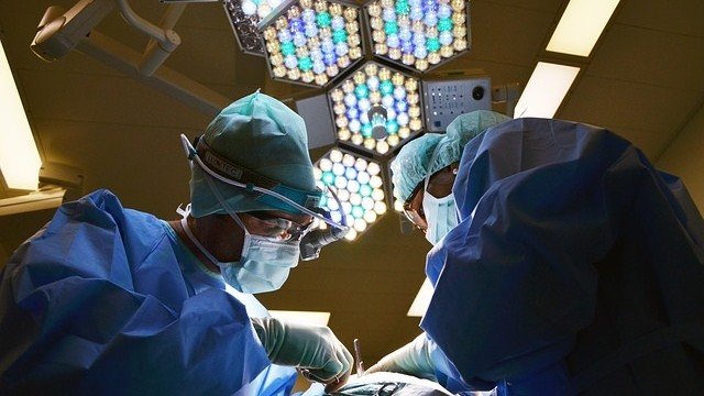 <p>
	<em>Снимка: Pixabay</em></p>
