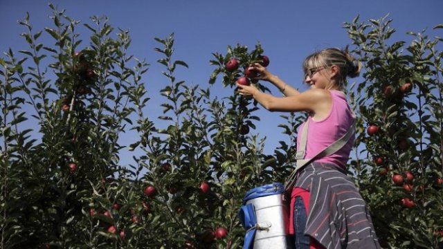 <p>
	<em>Снимка: Архив Ройтерс</em></p>
