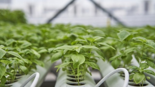 <p>
	<em>Снимка: Lauryn Ishak/Bloomberg</em></p>
