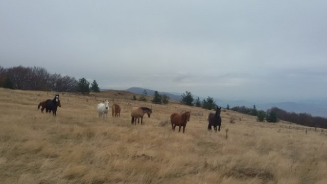 <p>
	Снимка: Investor.bg</p>
