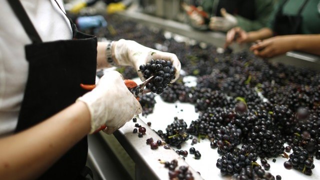 <p>
	<em>Снимка: Архив, Ройтерс</em></p>
