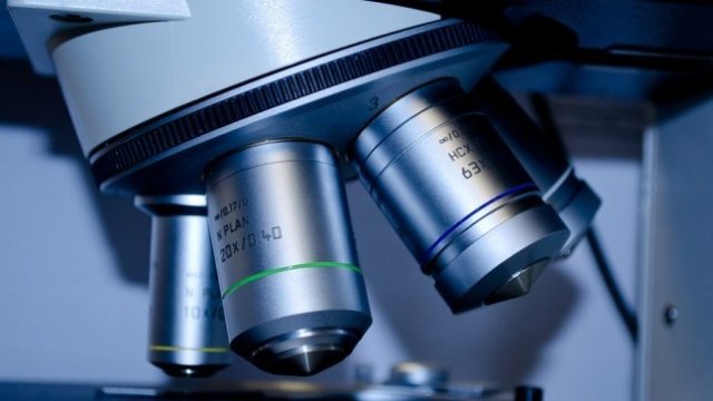 <p>
	<em>Снимка: Pixabay</em></p>
