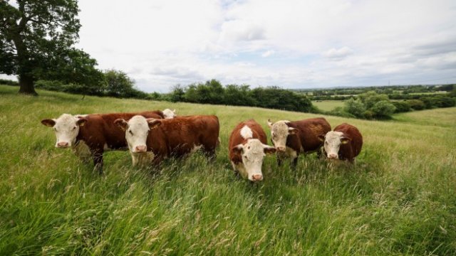 <p>
	<em>Снимка:&nbsp;Chris Ratcliffe/Bloomberg</em></p>
