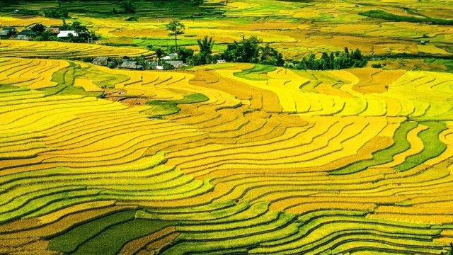 <p>
	<em>Снимка: Pixabay</em></p>
