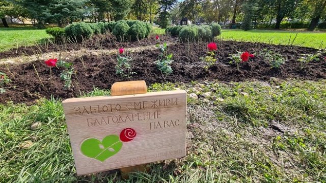 <p>
	В парковото пространство на НДК преди година беше открита розовата градина, създадена в знак на признателност и почит към донорите. <em>Снимка: БГНЕС</em></p>
