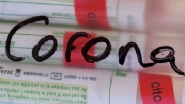 <p>
	<em>Снимка: GettyImages.com</em></p>
