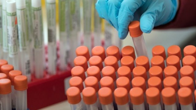 <p>
	<em>Снимка: Getty</em></p>
