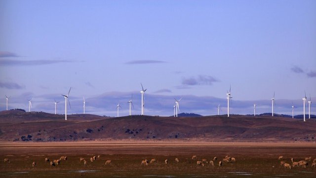 <p>
	<em>Снимка: архив Ройтерс</em></p>
