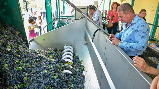 Снимка: VP Brands International