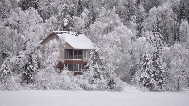 Снимка: Pixabay