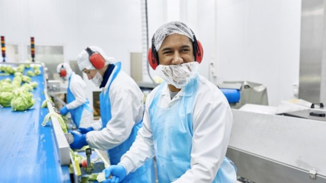 <p>
	<em>Снимка:&nbsp;lindstromgroup</em></p>
