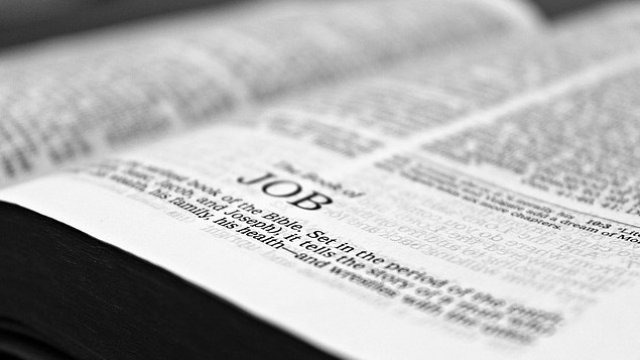 <p>
	<em>Снимка: Pixabay</em></p>
