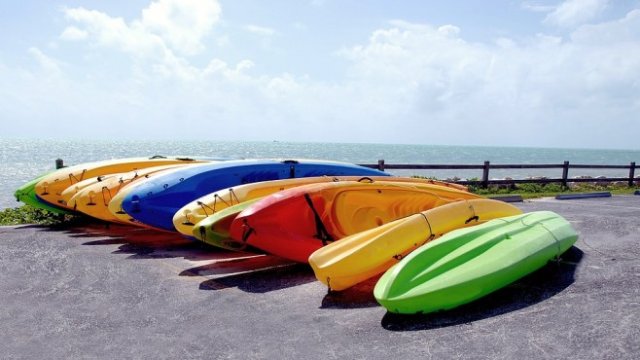 <p>
	<em>Снимка: pixabay.com</em></p>
