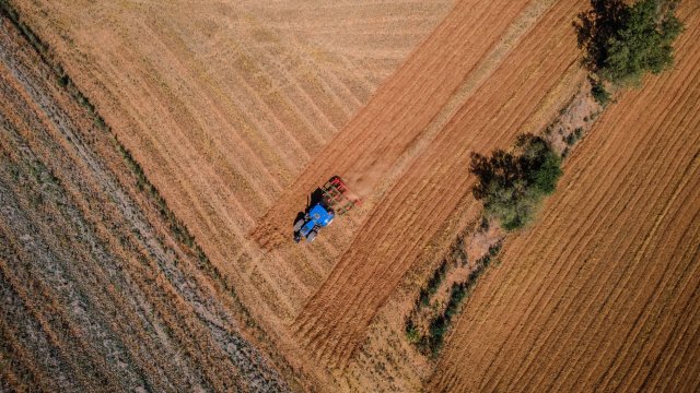 Снимка: Bloomberg L.P.