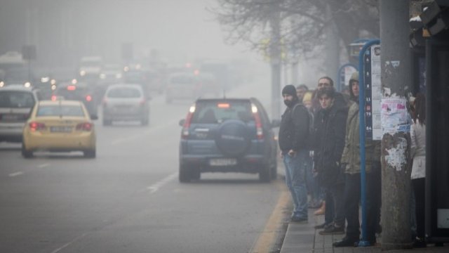 <p>
	<em>Снимка: Димитър Кьосемарлиев, Investor Media Group</em></p>
