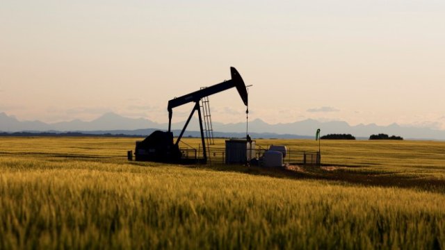 <p>
	<em>Снимка: Ройтерс</em></p>
