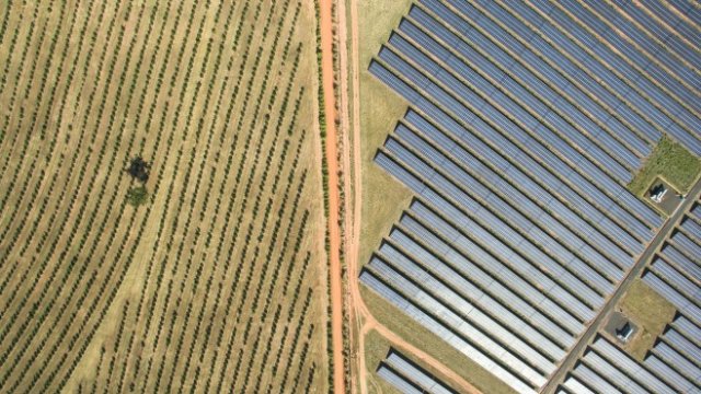 <p>
	<em>Снимка: Bloomberg L.P.</em></p>
