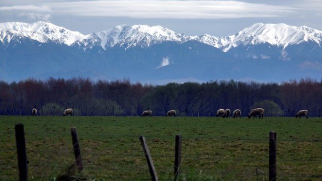 <p>
	<em>Снимка: Архив Ройтерс</em></p>
