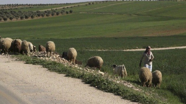 <p>
	<em>Снимка: Ройтерс</em></p>
