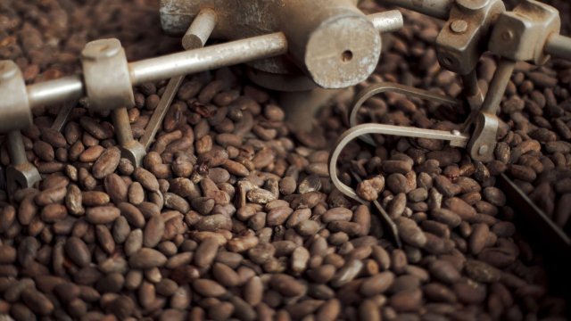 Снимка: Bloomberg LP