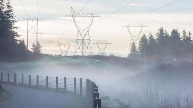 <p>
	<em>Снимка: Pixabay.com</em></p>
