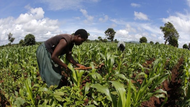 <p>
	<em>Снимка: Архив Ройтерс</em></p>
