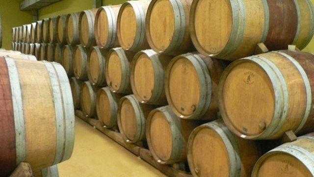 Климатичните промени удариха по лозарския сектор