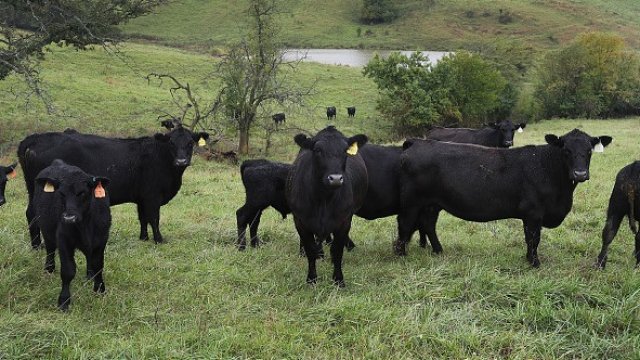 <p>
	<em>Снимка: Getty</em></p>
