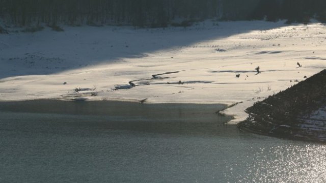 <p>
	<em>Снимка: БГНЕС</em></p>
