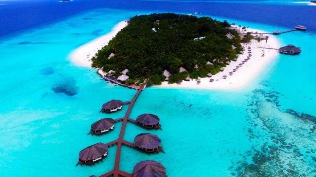 <p>
	<em>Снимка: Pixabay</em></p>
