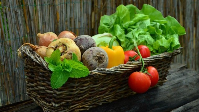 <p>
	<em>Снимка: Pixabay</em></p>
