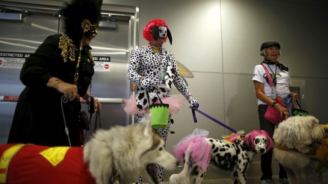 <p>
	<em>Снимка: Ройтерс</em></p>
