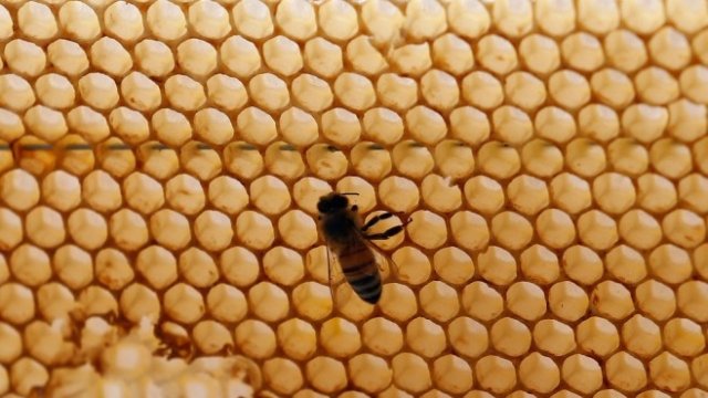 <p>
	<em>Снимка: Архив Ройтерс</em></p>
