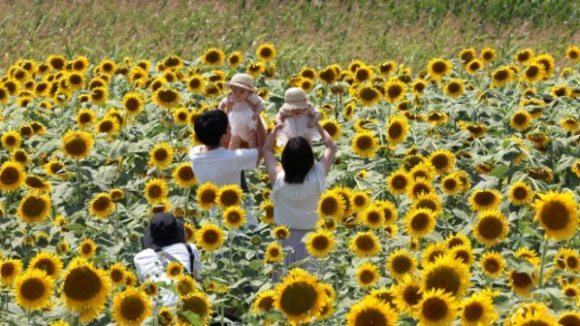 Кадър на деня за 31 юли