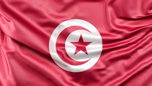 Кризата в Тунис - за разпределение на ресурси