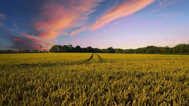 <p>
	<em>Снимка: Pixabay</em></p>
