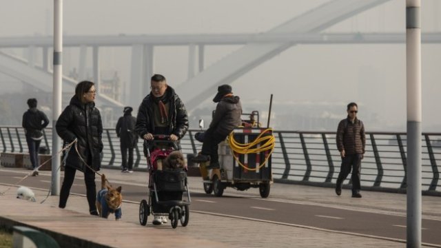 <p>
	<em>Снимка: Bloomberg L.P.</em></p>
