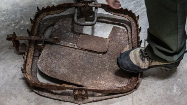 Снимка: Bloomberg L.P.