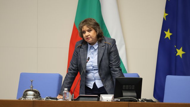 Снимка: БГНЕС/АНТОН СТАНКОВ