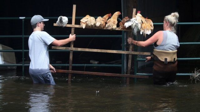 <p>
	<em>Снимка: Архив Ройтерс</em></p>
