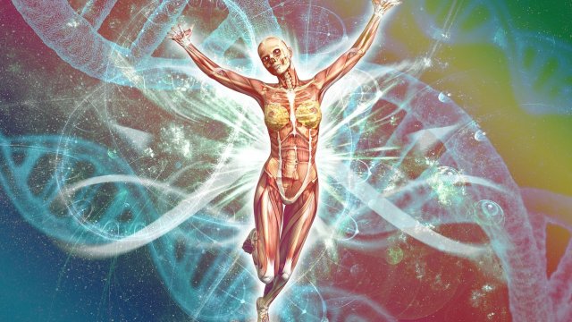 Снимка: Pixabay