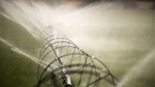 <p>
	<em>Снимка: James MacDonald, Bloomberg</em></p>
<p>
	&nbsp;</p>
