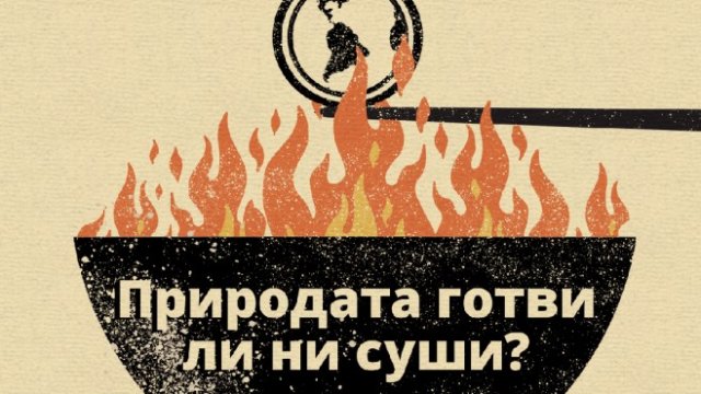 <p>
	<em>Снимка: Investor Media Group</em></p>
