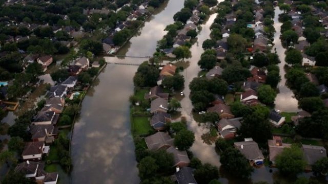 <p>
	<em>Снимка: Ройтерс</em></p>
