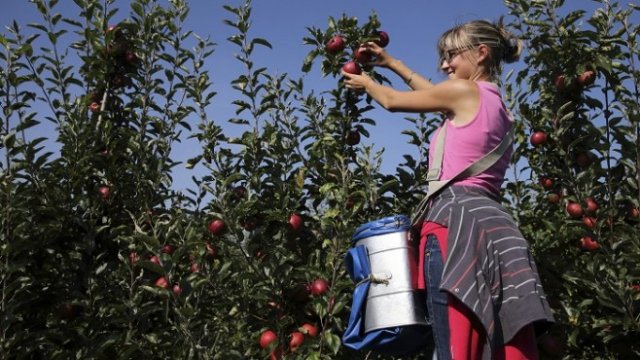 <p>
	<em>Снимка: Архив Ройтерс</em></p>
