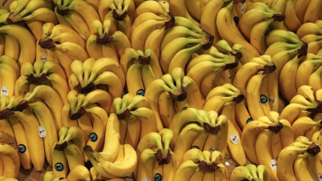 <p>
	<em>Снимка: Архив Ройтерс</em></p>
