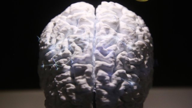 Снимка: Bloomberg