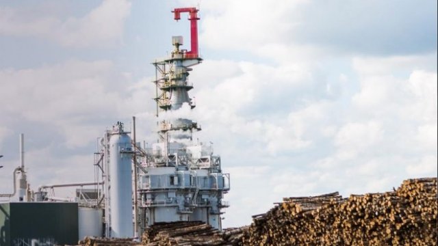 <p>
	<em>Снимка:&nbsp;Mets&auml; Group&nbsp;</em></p>
